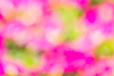 Doğal renkli bokeh arka ışık plan.