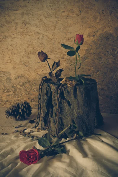Метафорические розы натюрморта  . — стоковое фото