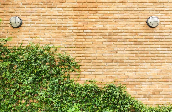 Tło grunge ściany z liści — Zdjęcie stockowe