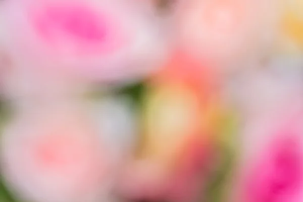 Abstracte bokeh en vage aard van de witte en roze achtergrond — Stockfoto