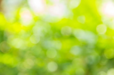 Soyut bokeh ve bulanık yeşil doğa arka plan