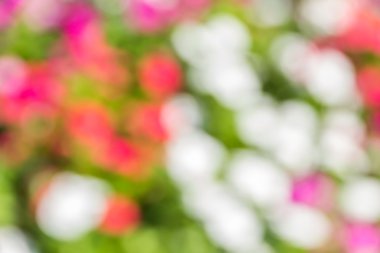 Bokeh çok bahçelerde renkli 