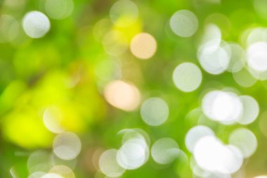 Soyut bokeh ve bulanık yeşil doğa arka plan 