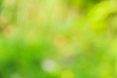 Soyut bokeh ve bulanık yeşil doğa arka plan 