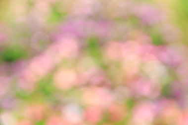 Soyut bokeh ve bulanık yeşil doğa arka plan