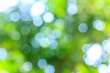 Soyut bokeh ve bulanık yeşil doğa arka plan