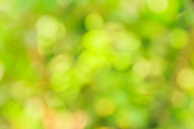 Soyut bokeh ve bulanık yeşil doğa arka plan 