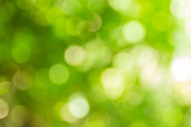 Soyut bokeh ve bulanık yeşil doğa arka plan 