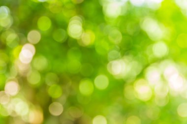 Soyut bokeh ve bulanık yeşil doğa arka plan 