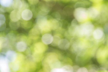 Soyut bokeh ve bulanık yeşil doğa arka plan 