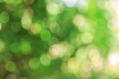 Soyut bokeh ve bulanık yeşil doğa arka plan 