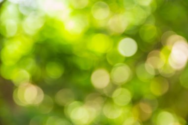 Soyut bokeh ve bulanık yeşil doğa arka plan 