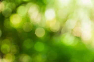 Soyut bokeh ve bulanık yeşil doğa arka plan 