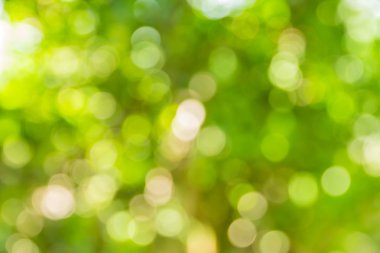 Soyut bokeh ve bulanık yeşil doğa arka plan 