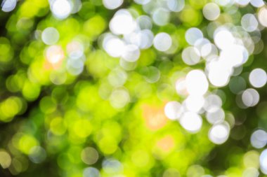 Soyut bokeh ve bulanık yeşil doğa arka plan