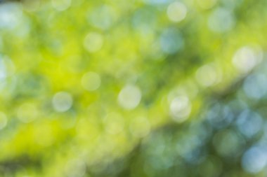 Soyut bokeh ve bulanık renkli doğa arka plan