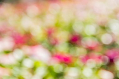 Soyut bokeh ve bulanık renkli doğa arka plan