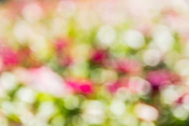 Soyut bokeh ve bulanık renkli doğa arka plan