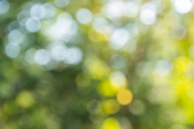 Soyut bokeh ve bulanık renkli doğa arka plan