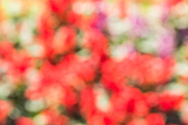 Soyut bokeh ve bulanık renkli doğa arka plan