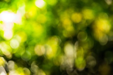 Soyut bokeh ve bulanık doğa arka plan ışık DIF modeli