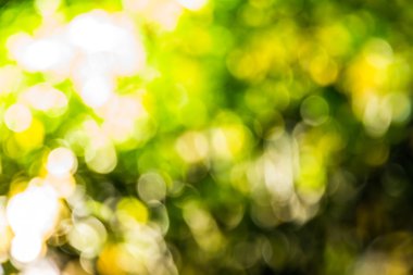 Soyut bokeh ve bulanık doğa arka plan ışık DIF modeli