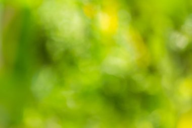 Soyut bokeh ve bulanık yeşil doğa arka plan 