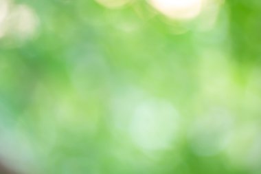 Soyut bokeh ve bulanık yeşil doğa arka plan 