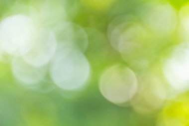 Soyut bokeh ve bulanık yeşil doğa arka plan 