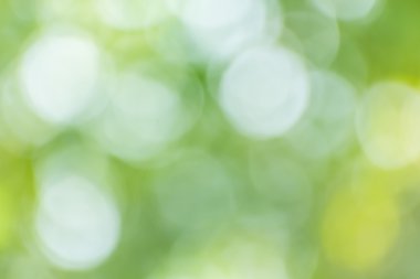 Soyut bokeh ve bulanık yeşil doğa arka plan 