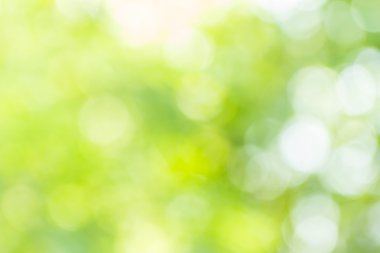 Soyut bokeh ve bulanık yeşil doğa arka plan 