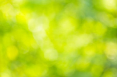 Soyut bokeh ve bulanık yeşil doğa arka plan 