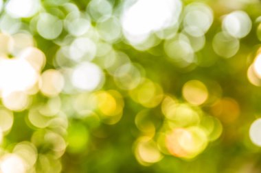 Soyut bokeh ve bulanık yeşil doğa arka plan 