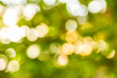 Soyut bokeh ve bulanık yeşil doğa arka plan 