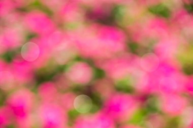 Soyut bokeh ve bulanık renkli doğa arka plan 