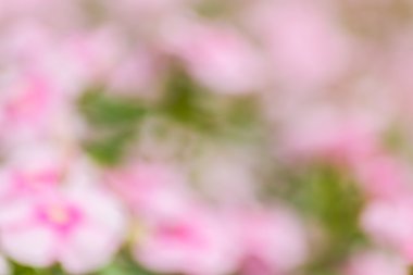 Soyut bokeh ve bulanık renkli doğa arka plan 