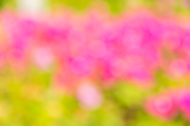 Soyut bokeh ve bulanık renkli doğa arka plan 