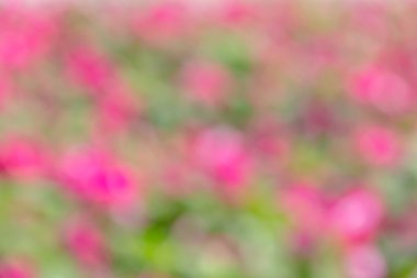 Soyut bokeh ve bulanık renkli doğa arka plan 