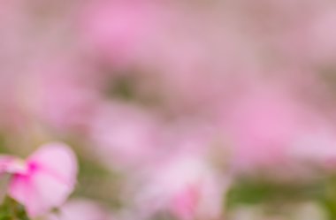 Soyut bokeh ve bulanık renkli doğa arka plan 