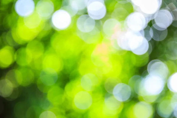 Abstrato bokeh e desfocado verde natureza fundo — Fotografia de Stock