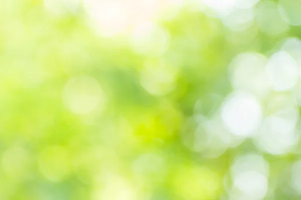 Abstract bokeh and blurred green nature background — Stock Photo, Image