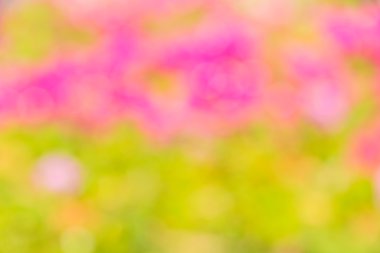 Soyut bokeh ve bulanık renkli doğa arka plan 