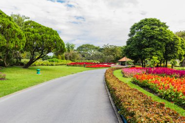 Ağaçlı ve otlu park