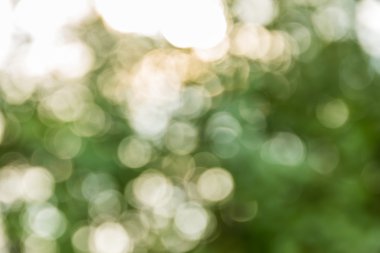 Soyut bokeh ve bulanık yeşil doğa arka plan