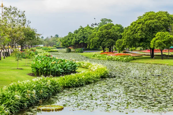 木と芝生のある公園 — ストック写真