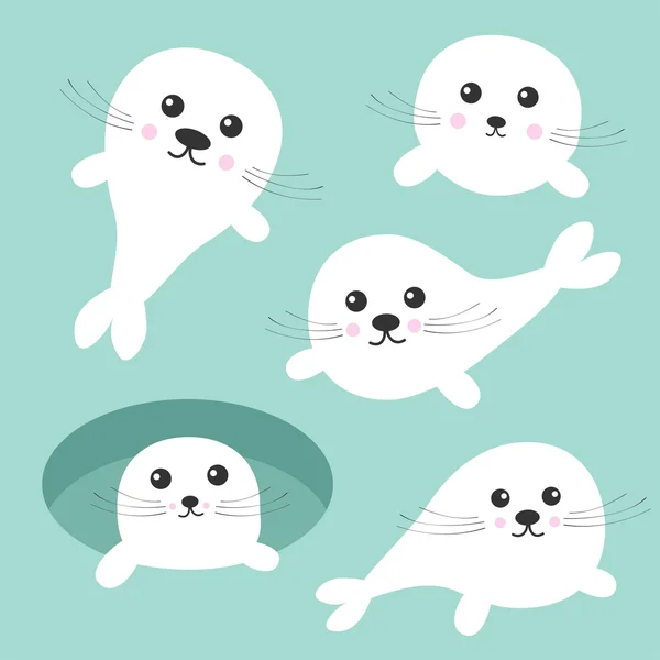 Juego de cachorros de foca arpa — Vector de stock