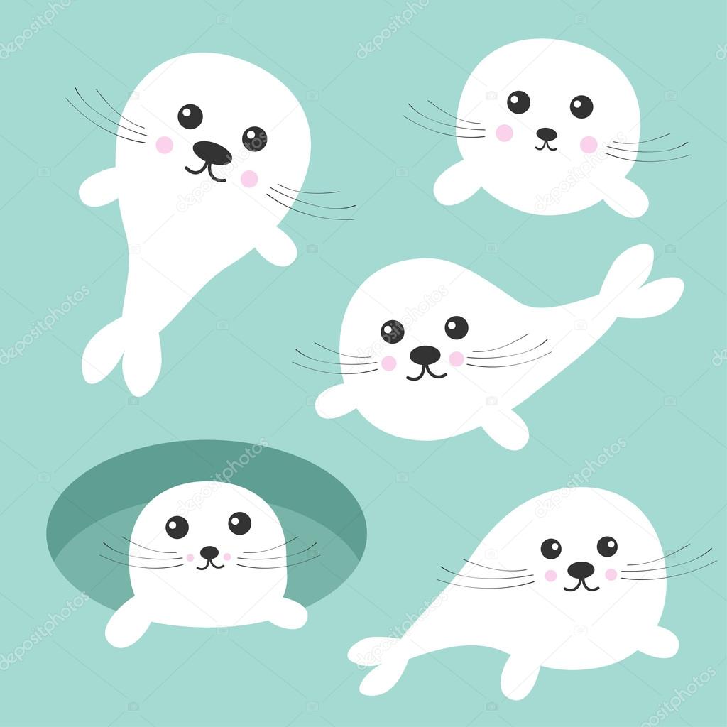 Bebe Phoque Images Vectorielles Bebe Phoque Vecteurs Libres De Droits Depositphotos Bebe Phoque Images Vectorielles Bebe Phoque Vecteurs Libres De Droits Depositphotos