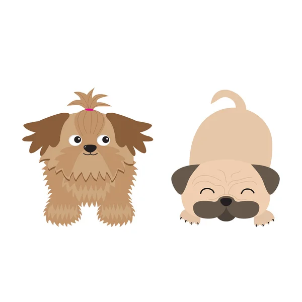 Shih Tzu en pug mops honden — Stockvector