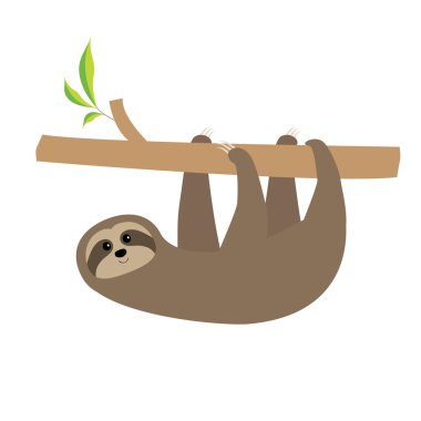 Sloth hugs tree branch clipart