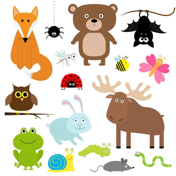 Conjunto de animais e insetos florestais — Vetor de Stock